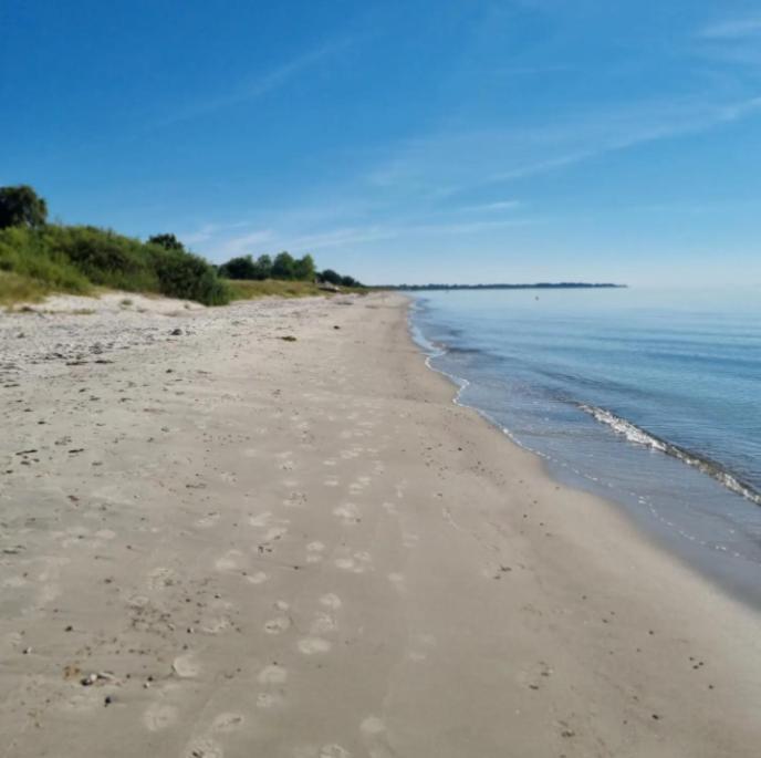 Real Holiday Feeling Next To Beach And Restaurant Beddinge Strand Exteriör bild